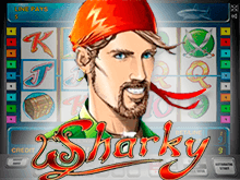 Sharky